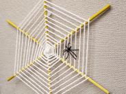 Woven spider web